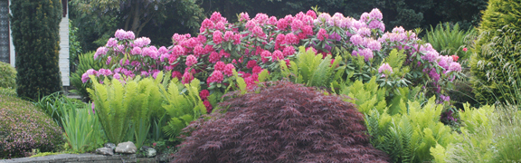 org:/banners product categories/borderpakkettenheader.jpg